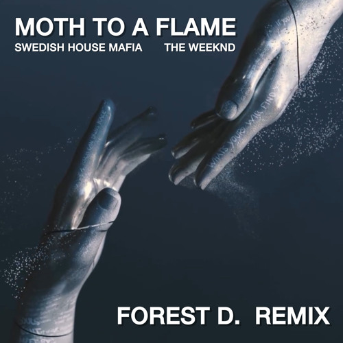 [PREVIEW] Moth To A Flame - FOREST D. Remix
