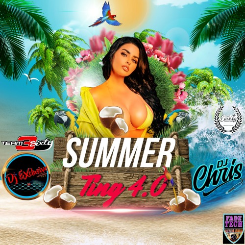 Summer Ting 4.0 DJ_Exclusive X DJ_Chris
