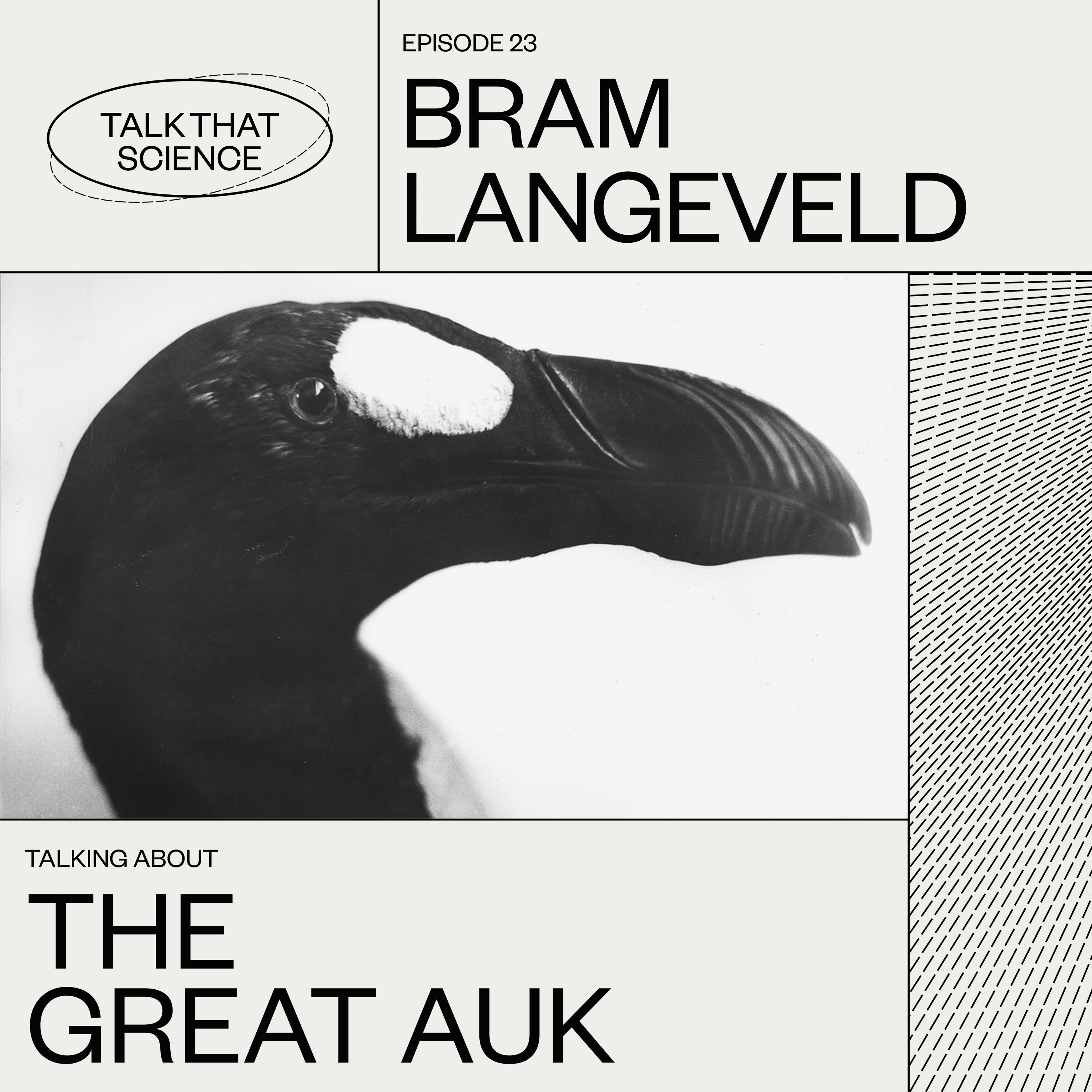 The Great Auk @Museumnight Amsterdam