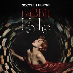 Rabbit Hole