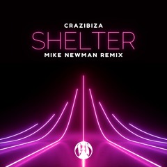 Shelter (Mike Newman Remix)