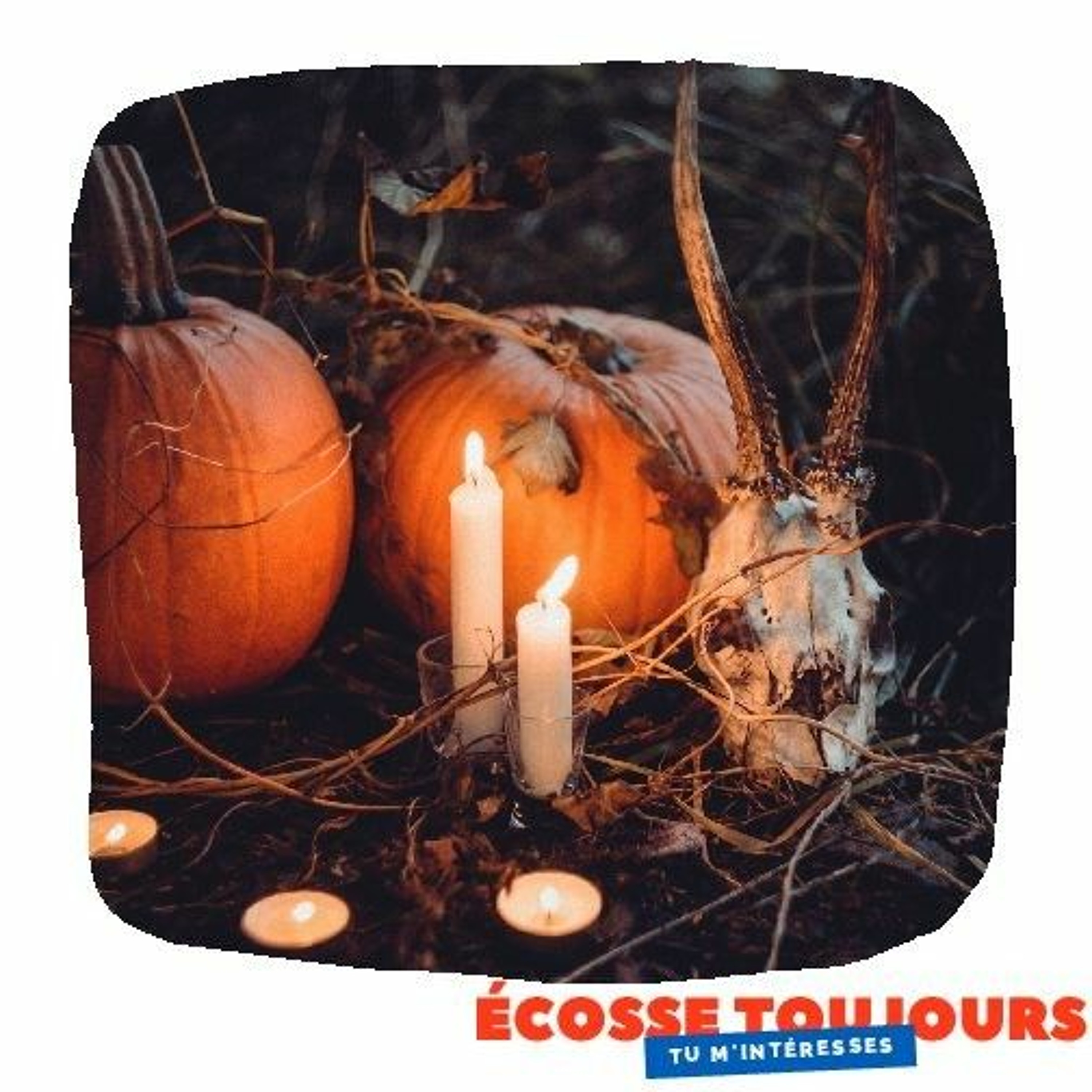 La Revue Ecossaise - Le podcast