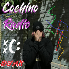 Cochino Radio 10