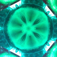 Daily Drop #5110 - Echoing Halls of Mind