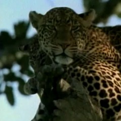 Africa - wonder, excitement, exotic