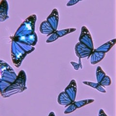 the boy with the blue butterfly