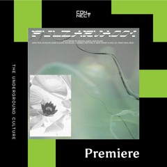 PREMIERE: ECMS & Clara Tucholski - Invisible Scars [PULZAR Recordings]