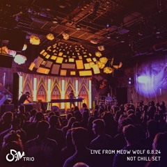 Live From Meow Wolf - Not Chill Set