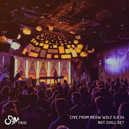 Live From Meow Wolf - Not Chill Set