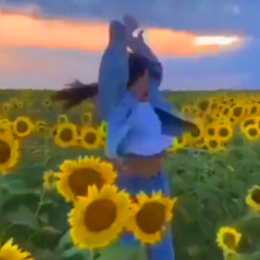 fall into the sky