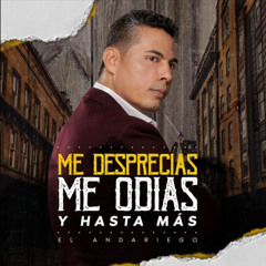 Me Desprecias Me Odias Y Hasta Más