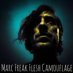 Flesh Camouflage (with Kris Bolin)