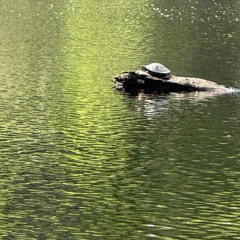 Pursuit of Happiness(Remix)