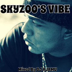 Skyzoo's Vibe