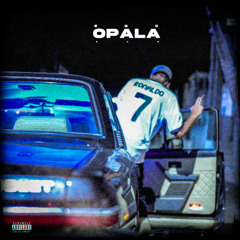 ZAD - OPALA