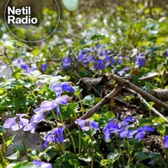 BabyFace Music w/ Mackie - 13th September 2025