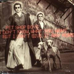 Pet Shop Boys - I Don't Know What You Want But I Can't Give It Any More (Luin's Battersea Mix)