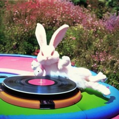 Dancing Rabbits RADIO REMIX - Prod. DJ NINUS