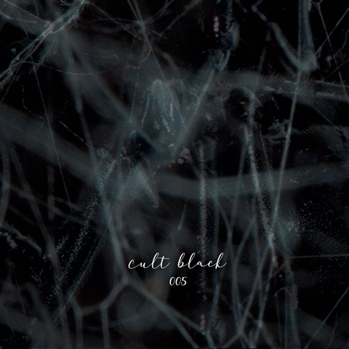 CC BLK 005 - Unknown B (out now)
