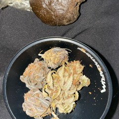 RipanaxulipaFullaoFodasse