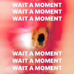 WAIT A MOMENT