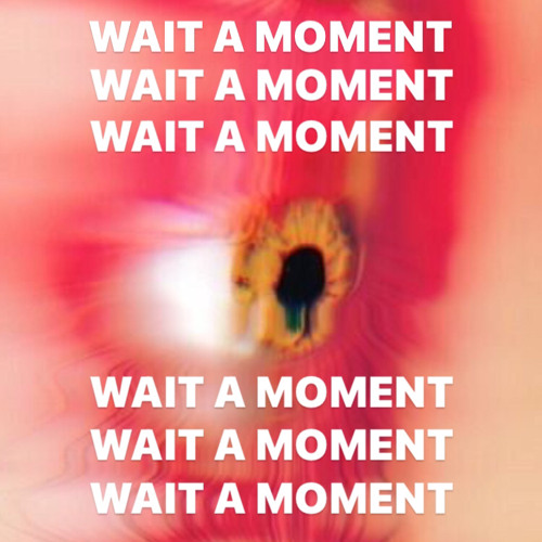 WAIT A MOMENT