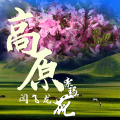 Stream 高原索玛花 伴奏 By 闫飞龙 Listen Online For Free On Soundcloud