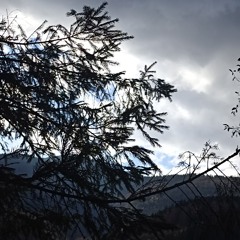 Jensen House – My Way🫂✨