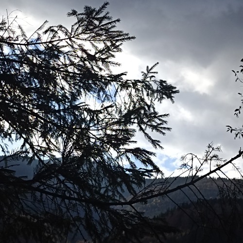 Jensen House – My Way🫂✨