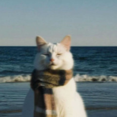 COLD SUMMERS[demo] prod polaroidz