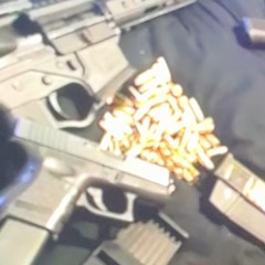 pistol in bag