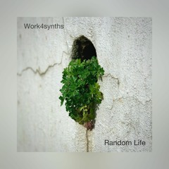 Random Life