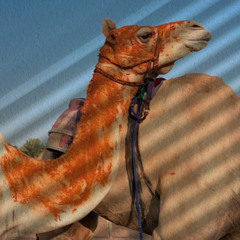 الـركـض شـده | مـيـحـد حـمـد