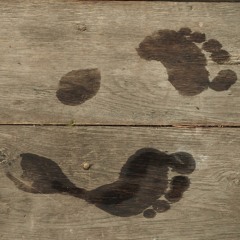 Walk it Out long Version