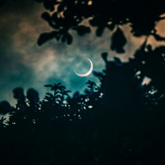 Ambient, Etc [Low Indigo - 04-05-25]