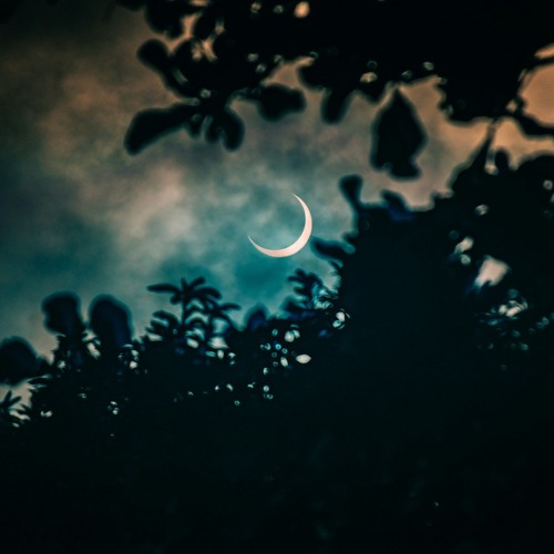 Ambient, Etc [Low Indigo - 04-05-25]