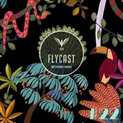 Flycast #22