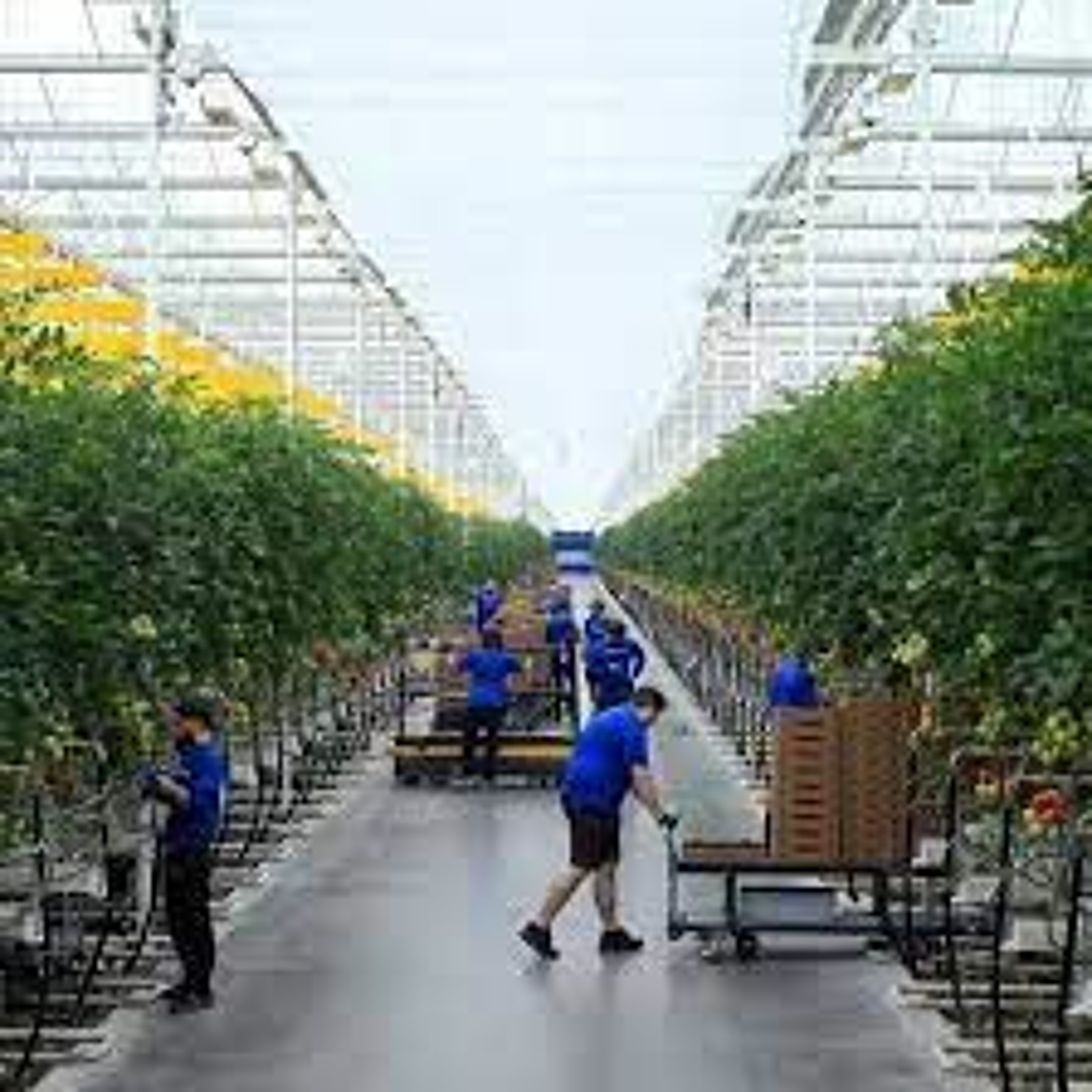 The Magic of Hydroponic Farms with Sheikha Sulaiman Al Maazmi (30.06.22) episode artwork