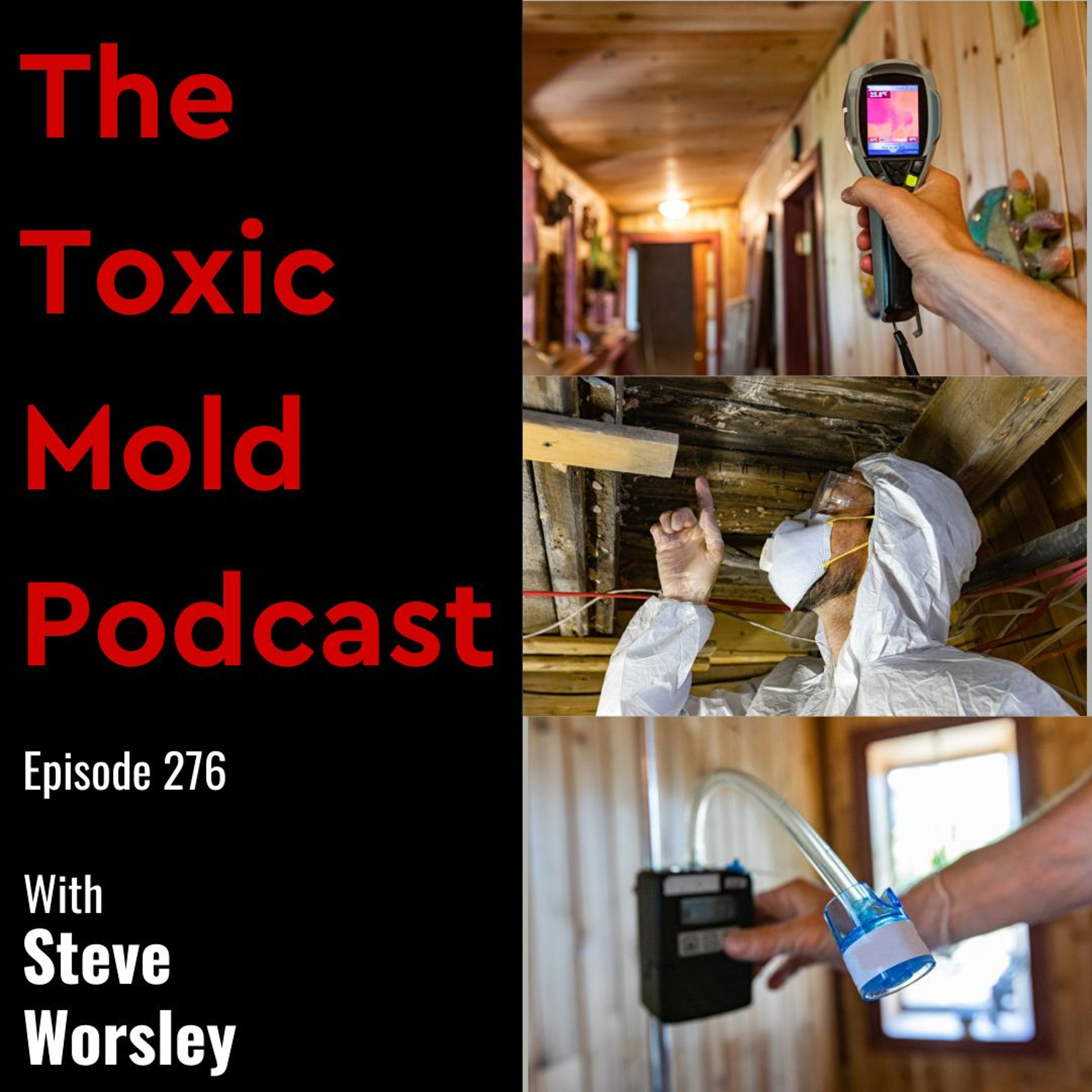 The Toxic Mold Podcast