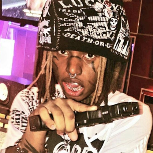 ZILLAKAMI-KNIGHTS VOW