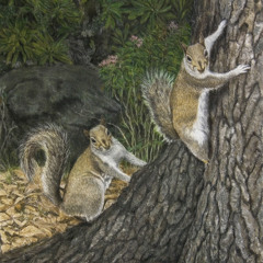 Squirrels in the trees (feat.MinceMan)