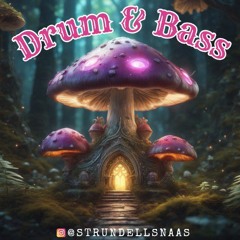 Strundellsnaas Melodic DnB #2.wav