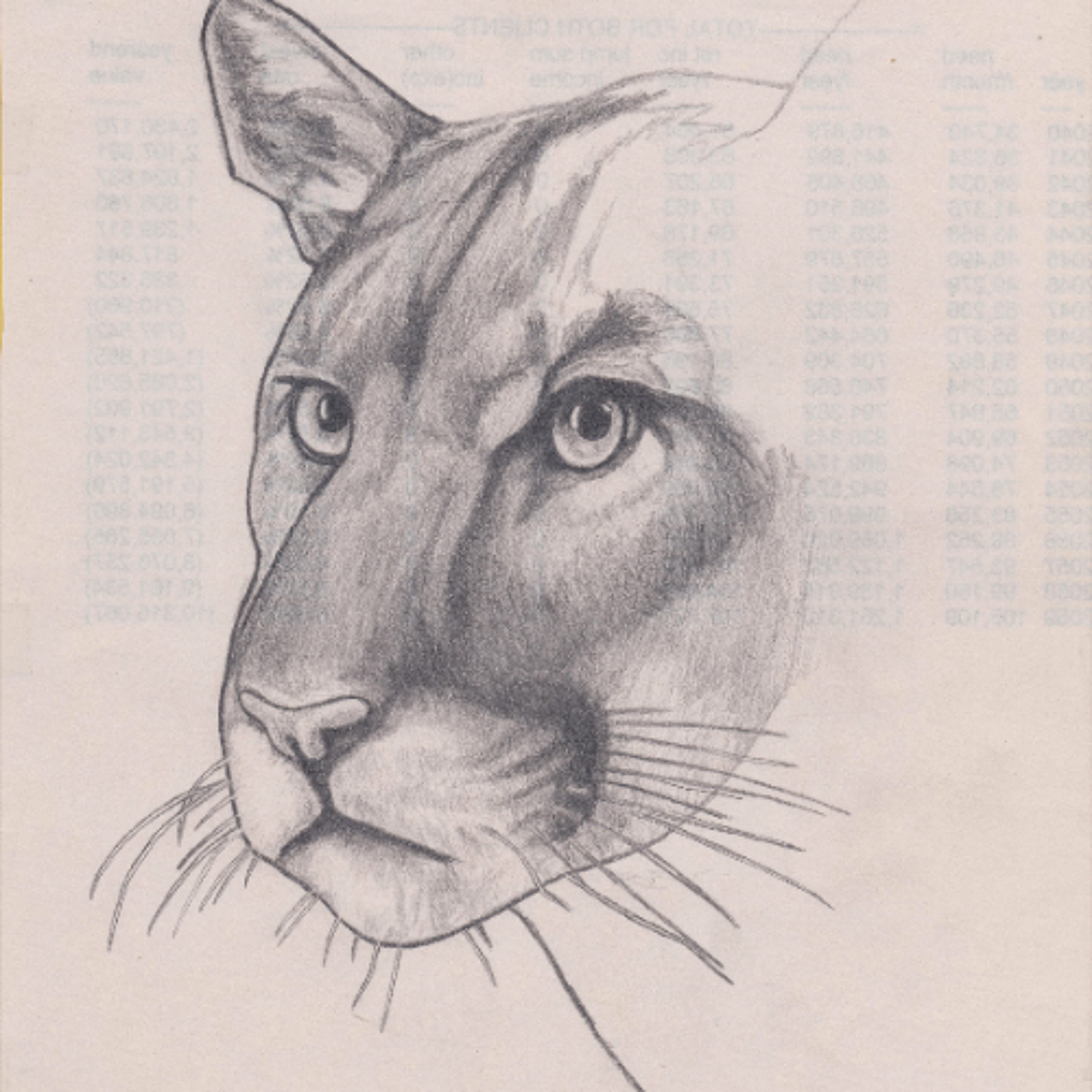 Track cover