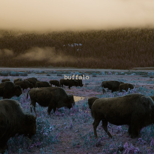 trippy trees (Speed Garage / DnB Fusion / 171 BPM)