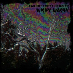 Wishy Washy - Twilight Forest (Defabled)