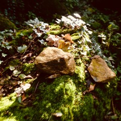 Among Angels  (Kate Bush song - reinterpretation by Heidi K & Jeamland)