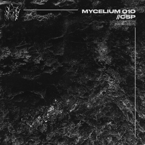 M010 // CSP