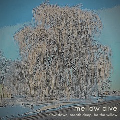 mellow dive - Slow Down, Breath Deep, Be The Willow