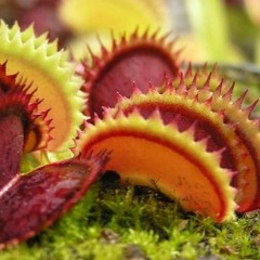 7schläfer - Leuchtende Farben (Silvester '23) prod. by Dopeboyz