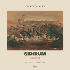 SidiRum @ Melodic Therapy #119 - Argentina